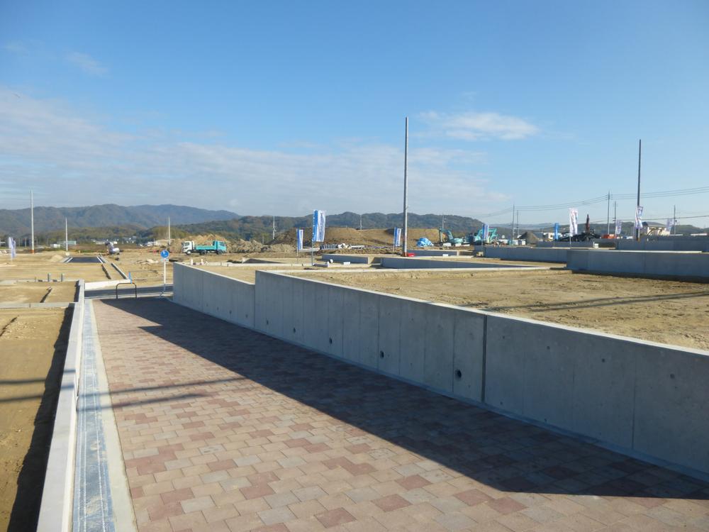 Local land photo. 2013 November 23, shooting