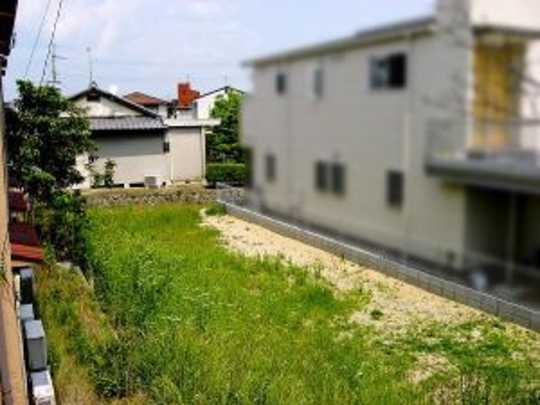 Local land photo. I've just seen from the west side (pond side).