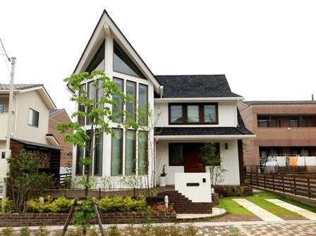 Local appearance photo. ~ Characteristic appearance ~