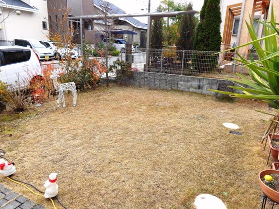 Garden. Local (12 May 2013) Shooting