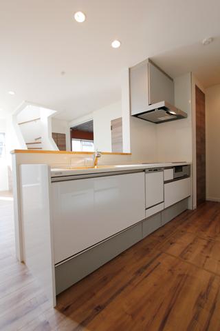 Kitchen. Indoor (07 May 2013) Shooting