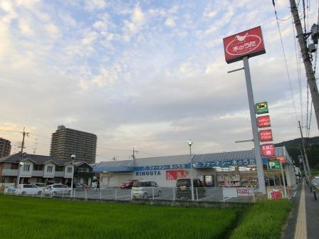 Drug store. Drugstore tree 1191m until the song Kamo shop