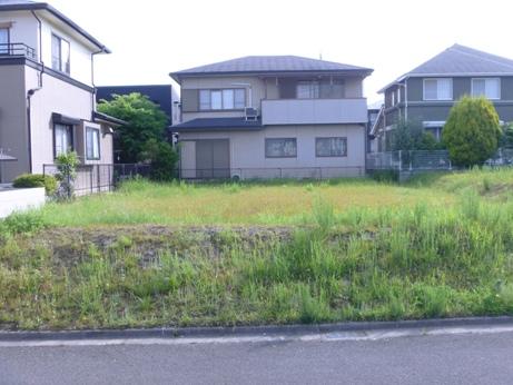 Local photos, including front road. Local (May 2013) Shooting