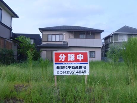 Local land photo. Local (July 2013) Shooting