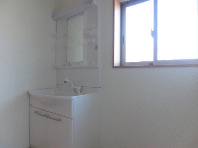 Wash basin, toilet. Smooth dressing in the wash basin shower