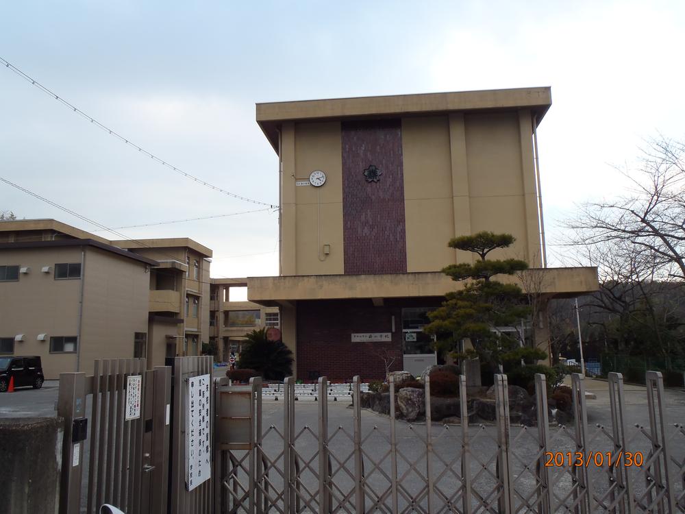 Other local. Firewood elementary school