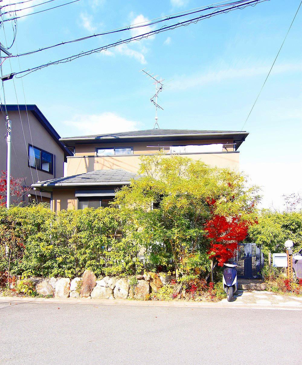 Local appearance photo. 2013 November shooting