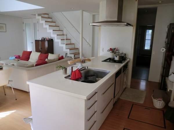 Kitchen. Island Kitchen