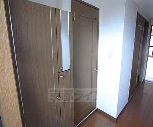 Entrance. Cupboard is also down pat.