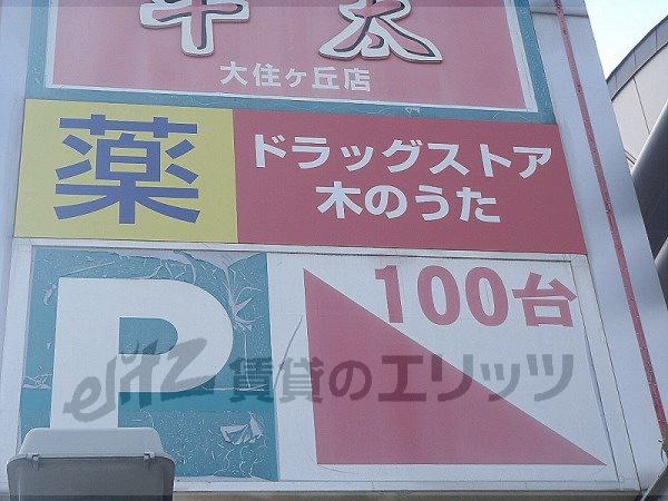 Dorakkusutoa. Drugstore tree of song Osumi months 1500m until (drugstore)