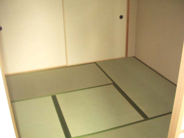 Other room space. Japanese style room