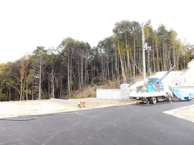 Local photos, including front road