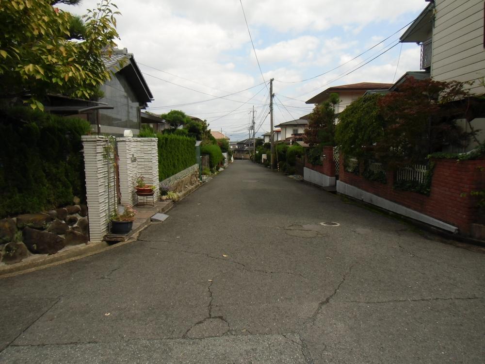 Local photos, including front road. Local (10 May 2013) Shooting