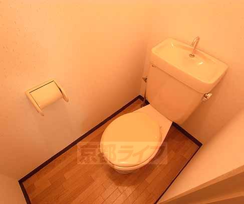 Toilet. It is a toilet with a clean.