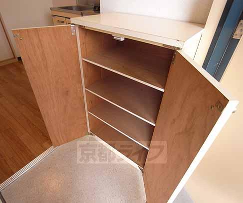 Entrance. Shoe storage is also pat.