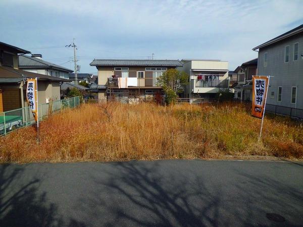 Local land photo. December 2012