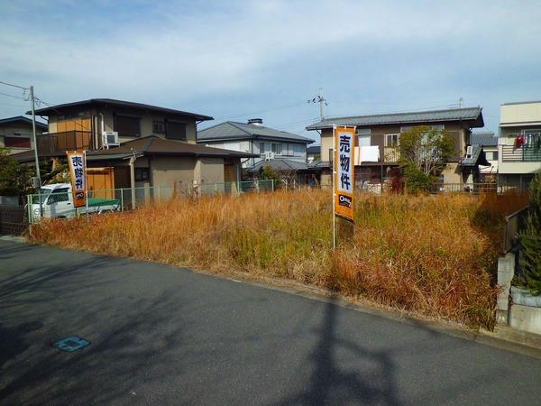 Local photos, including front road. December 2012