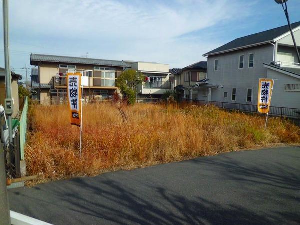 Local photos, including front road. December 2012