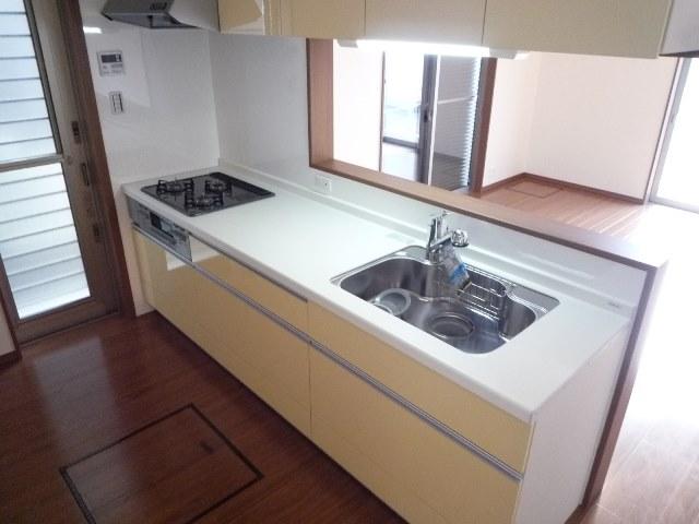 Kitchen. Water purifier with internal organs faucet