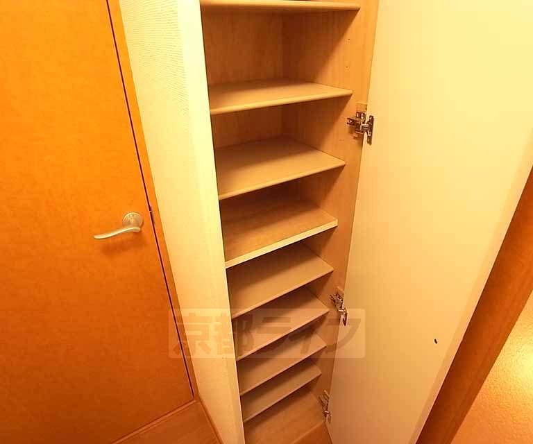 Entrance. Shoe storage is also pat.