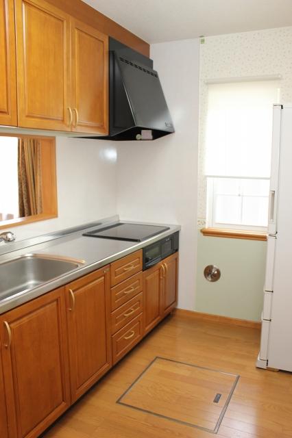 Kitchen. Indoor shooting