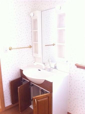 Wash basin, toilet. Indoor shooting