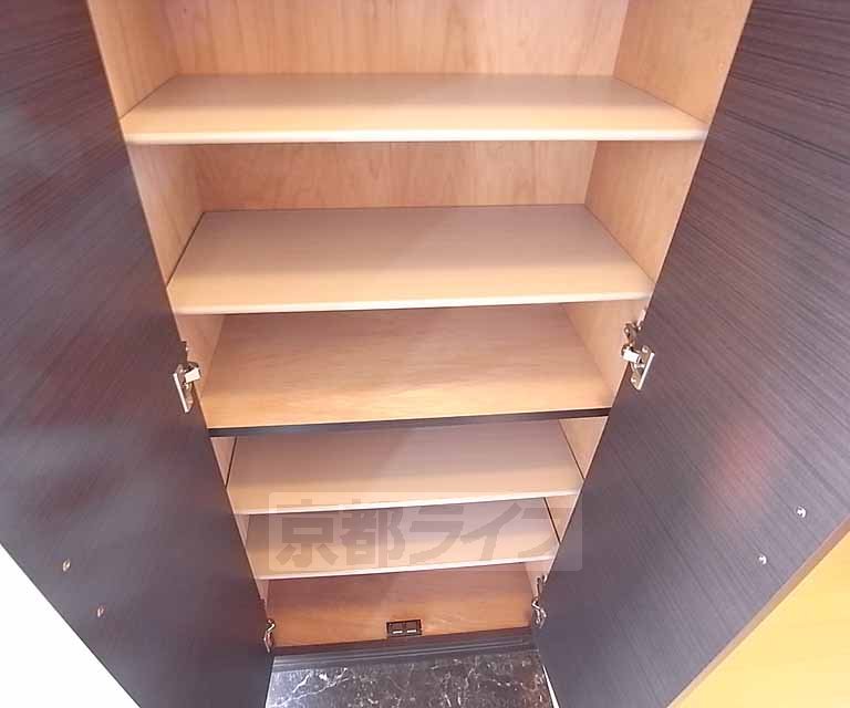 Entrance. Shoe storage is also pat.