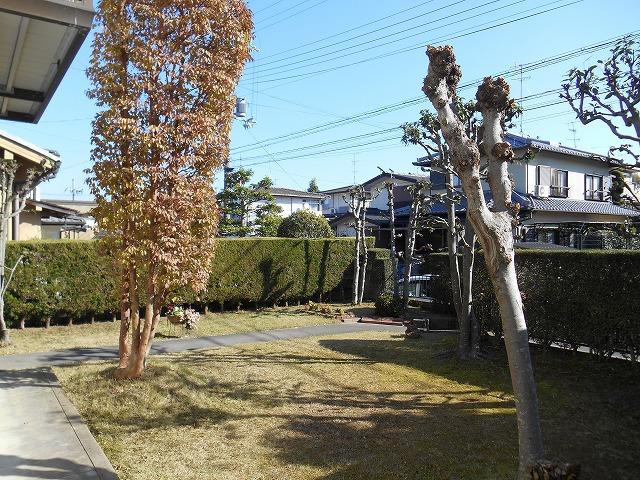 Garden. Local (11 May 2013) Shooting