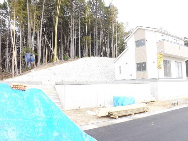 Local photos, including front road