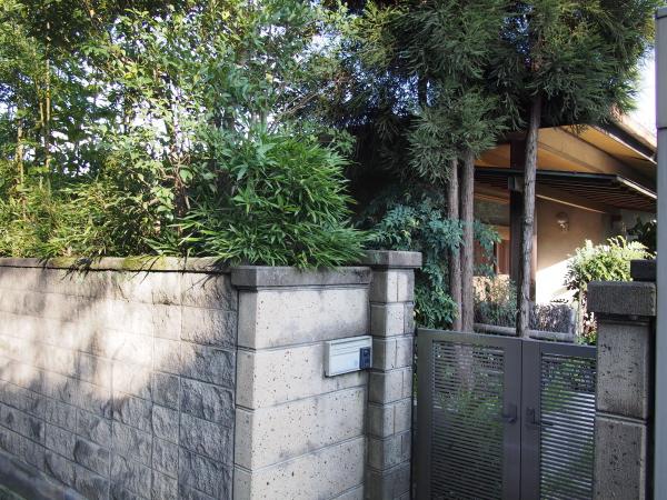 Local appearance photo. Local (09 May 2013) Shooting