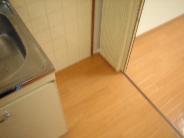 Other room space. Refrigerator yard