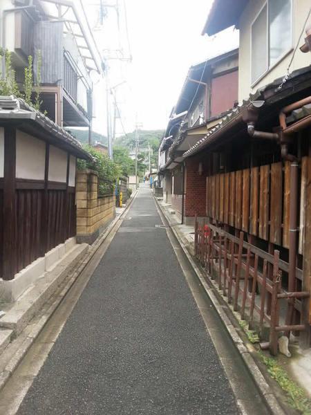 Local photos, including front road