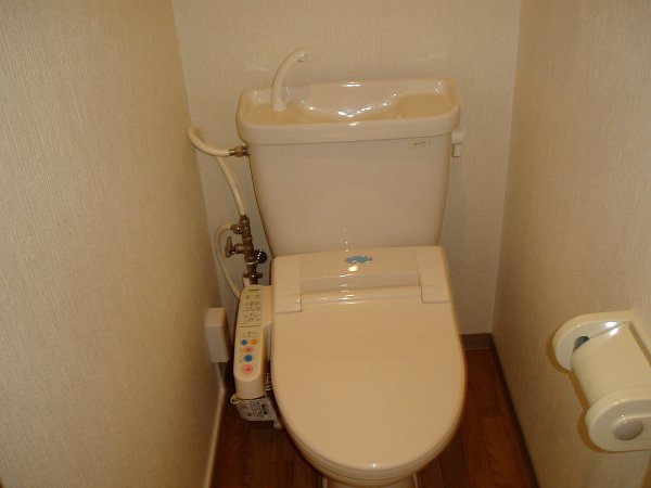 Other. Toilet