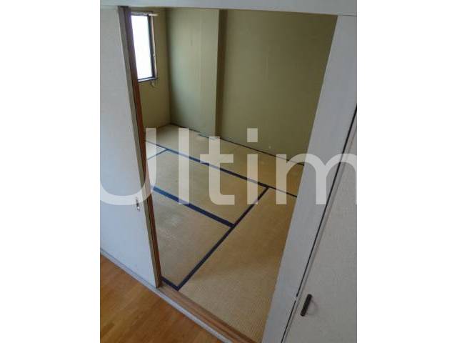 Living and room. Interior