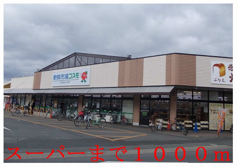 Supermarket. 1000m to the fresh market Cosmo (super)