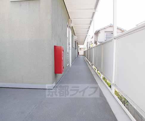 Other common areas. Corridor is also sunny.