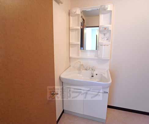 Washroom. Shampoo Dresser independent basin