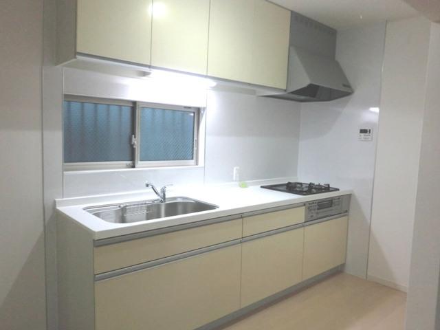 Kitchen. Water purifier with internal organs faucet