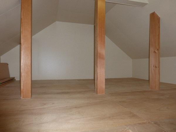 Other introspection. Attic storage