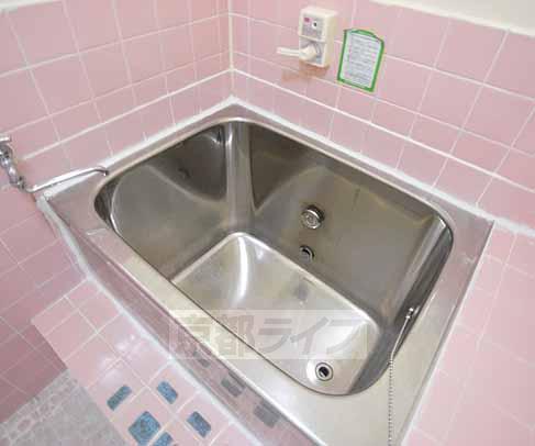 Bath. Silver bathtub is.