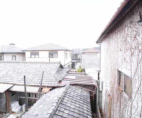 View. Also good view from the window!