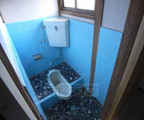 Toilet. Toilet of Japanese style!