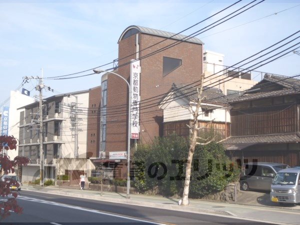 Other. 870m to Kyoto animal professional school (Other)