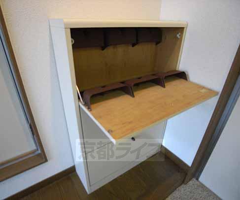 Other Equipment. It comes with a shoe box