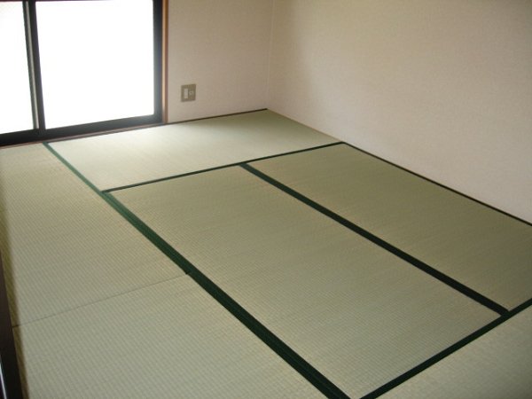 Other room space. Japanese style room