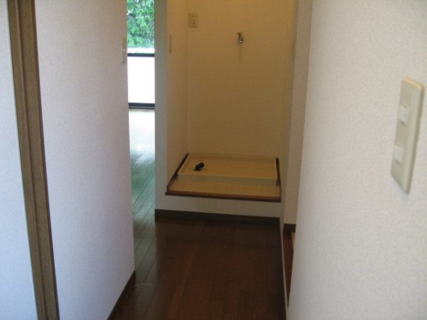 Other room space. Washing machine in the room