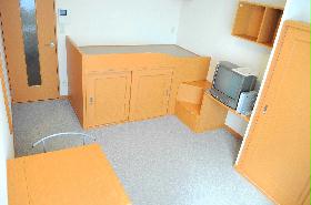 Living and room. Under the bed has become the storage.