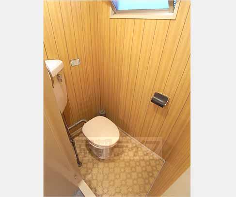 Toilet. Retro feel irresistible.