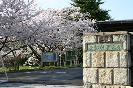 Other. 583m up to Kyoto University of Education (Other)