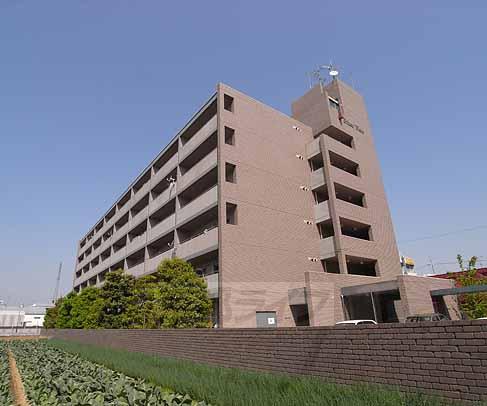 Building appearance. This location! Day is good!